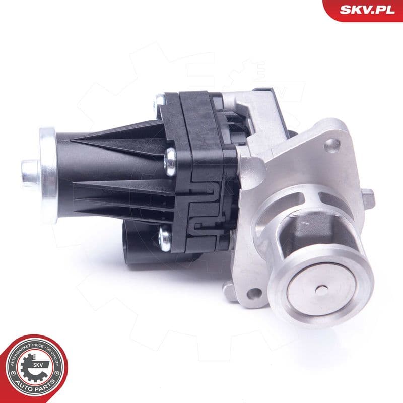 Supapa EGR ESEN SKV 14SKV159