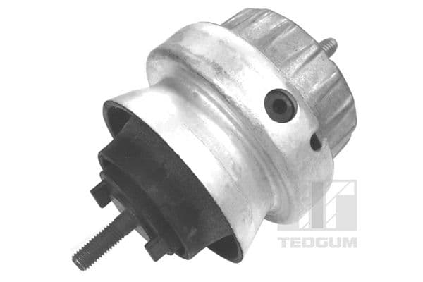 Suport motor TEDGUM 00056444