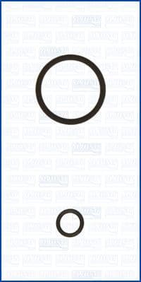 Set etansare, pompa vacuum AJUSA 77019500