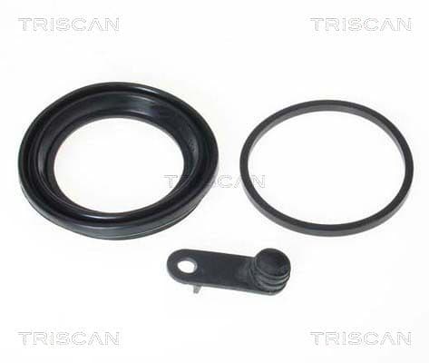 garnitura,piston etrier TRISCAN 8170 189961
