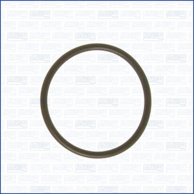 Garnitura, flansa lichid racire AJUSA 16024400