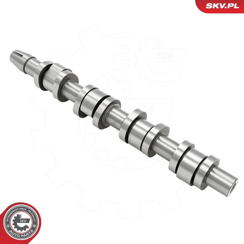 Ax cu came ESEN SKV 80SKV042