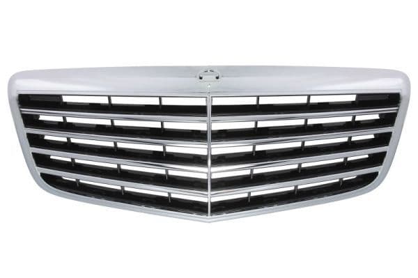 Grila radiator BLIC 5601-00-3528993P