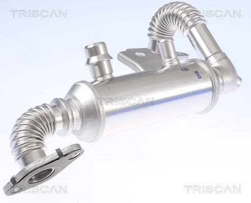 Radiator, recirculare gaze de esapament TRISCAN 8813 16111