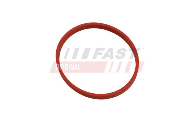 Garnitura, conducta supapa-AGR FAST FT49868