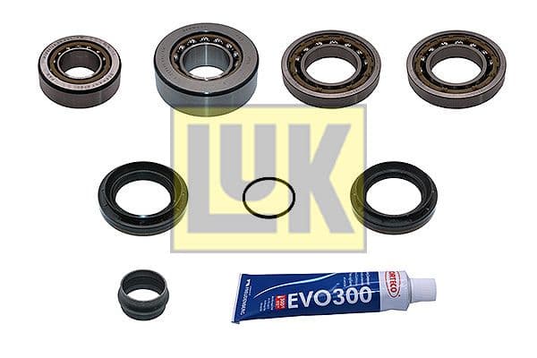 Set reparatie, diferential Schaeffler LuK GearBOX 462 0398 10