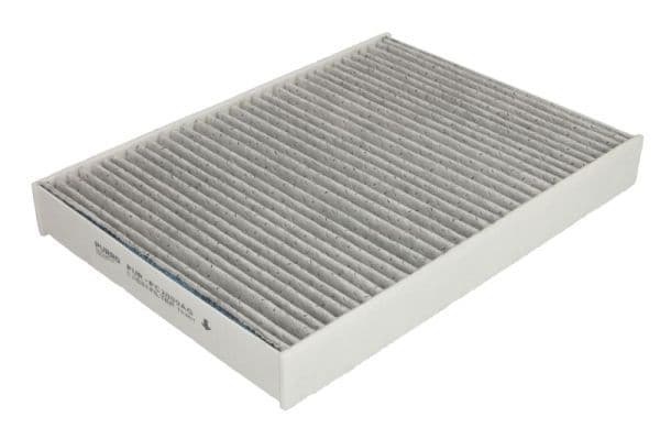 Filtru, aer habitaclu PURRO PUR-PC2009AG