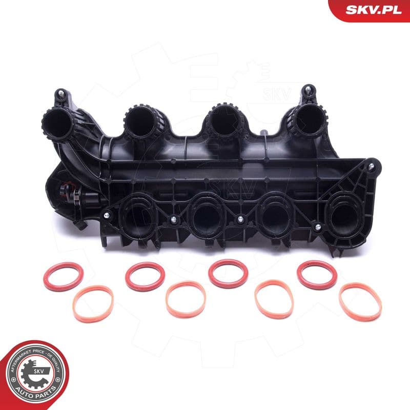 Modul conducta admisie ESEN SKV 49SKV065