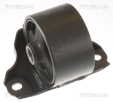 Suport motor TRISCAN 8505 43106