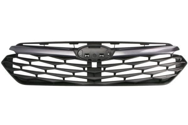 Grila radiator BLIC 6502-07-6748990P