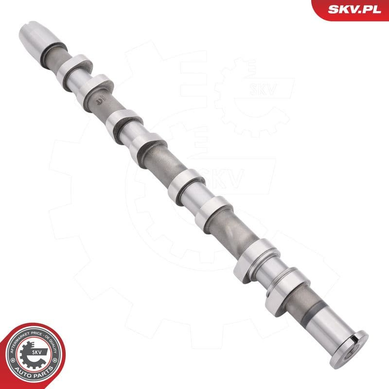 Ax cu came ESEN SKV 80SKV034