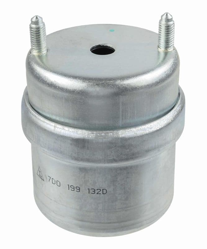 Suport motor LEMFÖRDER 25369 01