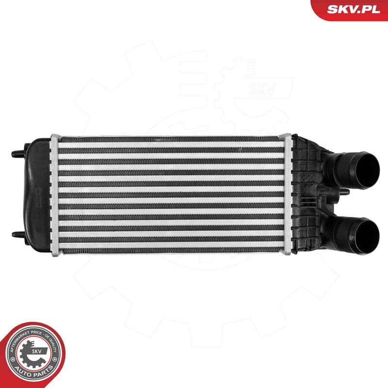 Intercooler, compresor ESEN SKV 98SKV162