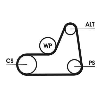 Curea transmisie cu caneluri CONTINENTAL CTAM 6PK1042 ELAST