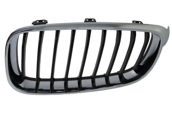 Grila radiator BLIC 6502-07-0081991GP