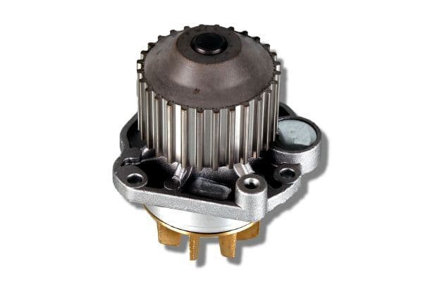 Pompă de apă, răcire motor HEPU P805
