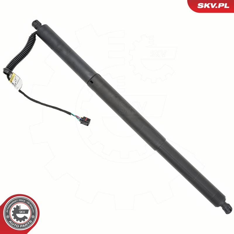 Motor electric, haion ESEN SKV 52SKV994