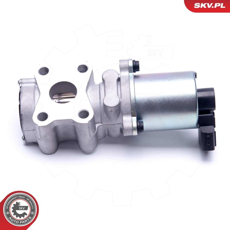 Supapa EGR ESEN SKV 14SKV200
