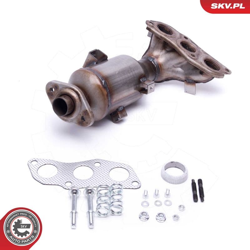 Catalizator ESEN SKV 62SKV001
