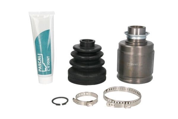 Set articulatie, planetara PASCAL G74031PC