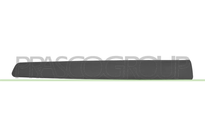 Elemente decorative/protectie, portiera PRASCO CI9181403