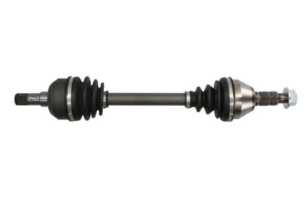 Planetara PASCAL G2X100PC