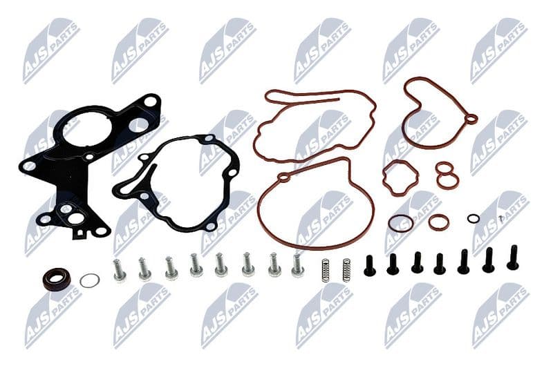 Set reparatie, pompa vacuum (Siste frana) NTY PVP-WW-000