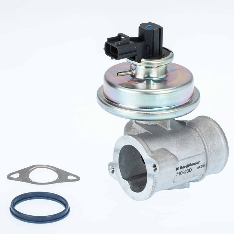 Supapa EGR BorgWarner 710923D