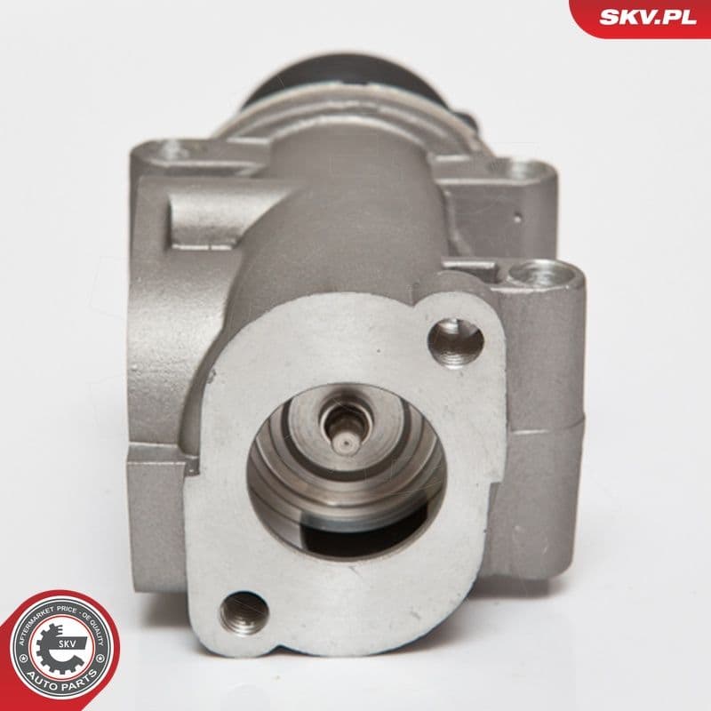 Supapa EGR ESEN SKV 14SKV076