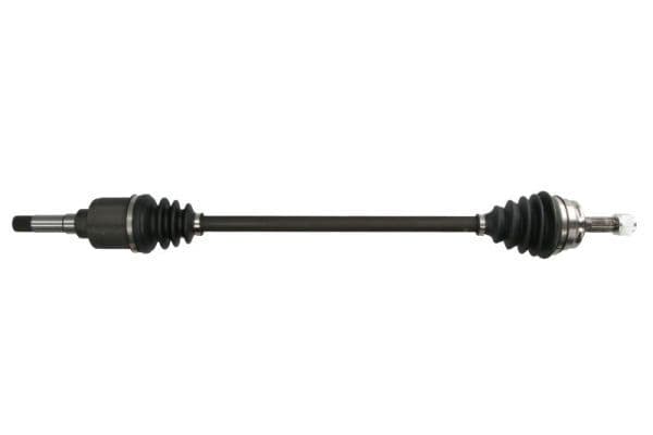 Planetara PASCAL G2C123PC