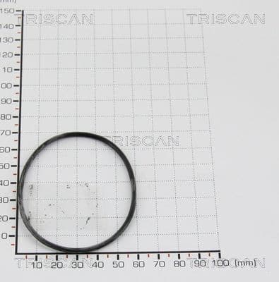 Garnitura TRISCAN 8813 997