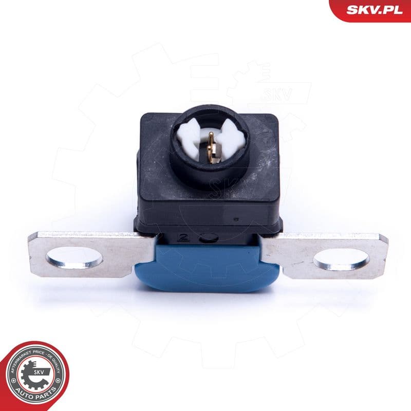 protectie la supratensiune,alternator ESEN SKV 96SKV317