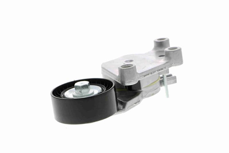 rola intinzator,curea transmisie VAICO V25-0341