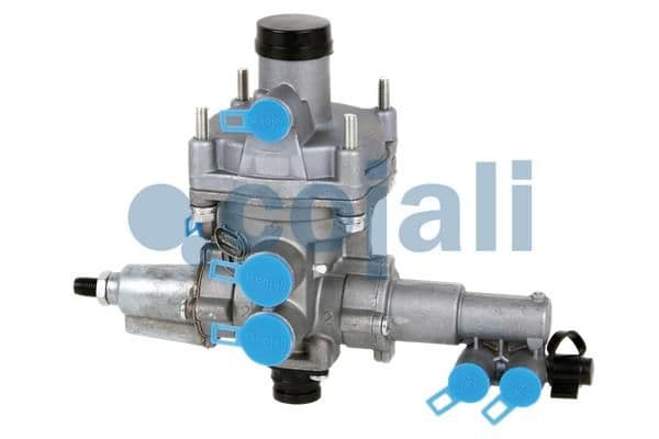Releu, ALB COJALI 2220440