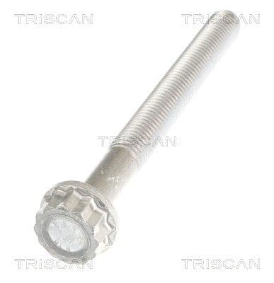 Bolturi fixare, brat suspensie TRISCAN 8501 0547