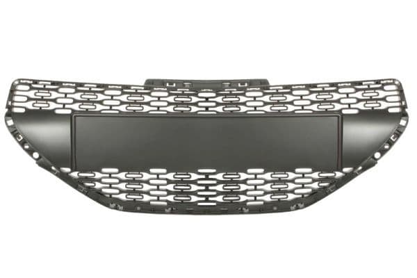 Grila radiator BLIC 6502-07-5509990P
