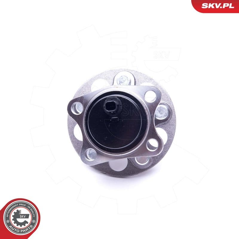 Set rulment roata ESEN SKV 29SKV289