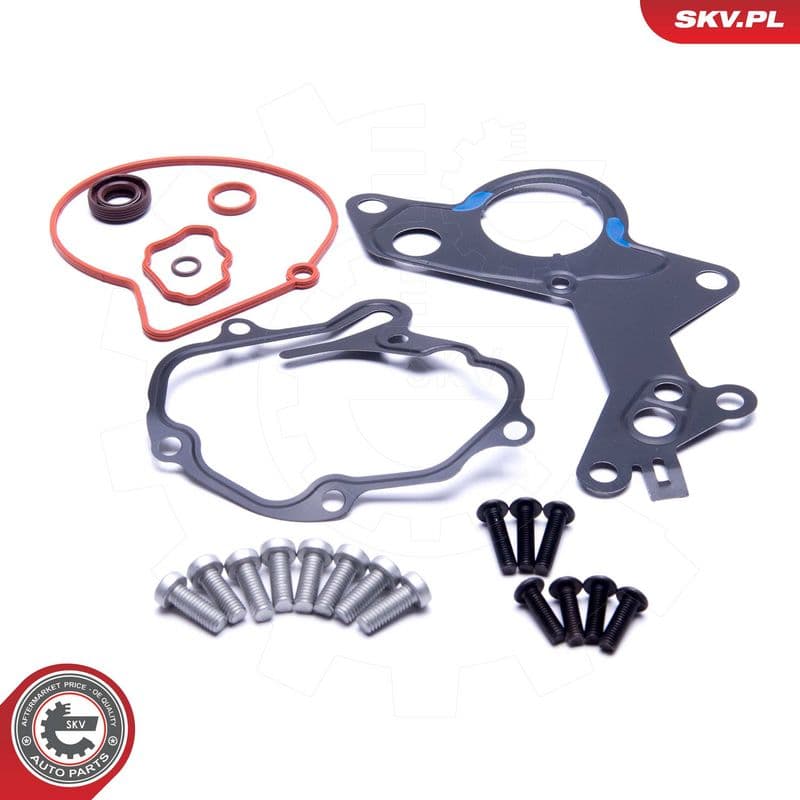 Set reparatie, pompa vacuum (Siste frana) ESEN SKV 18SKV801