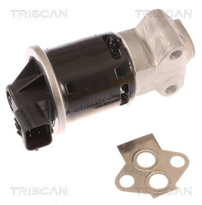 Supapa EGR TRISCAN 8813 21100