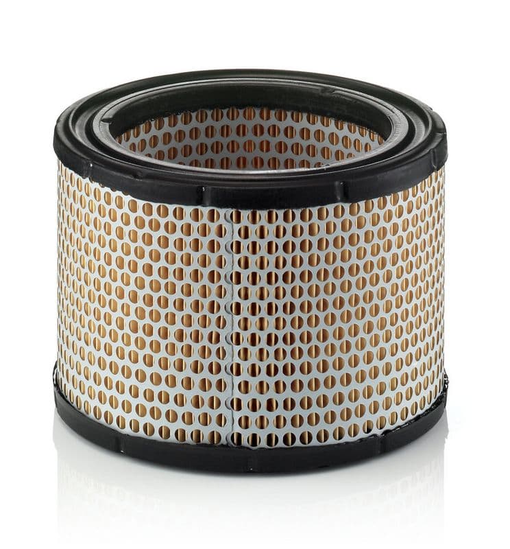 Filtru aer MANN-FILTER C 1989/1