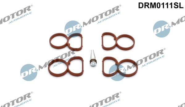 Set garnituri, galerie admisie Dr.Motor Automotive DRM0111SL