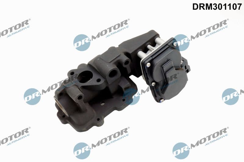 Supapa EGR Dr.Motor Automotive DRM301107