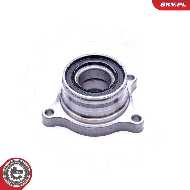 Set rulment roata ESEN SKV 29SKV191