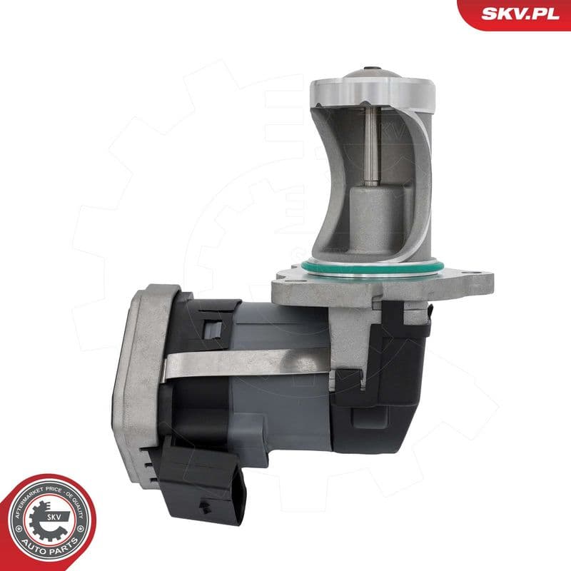 Supapa EGR ESEN SKV 14SKV324