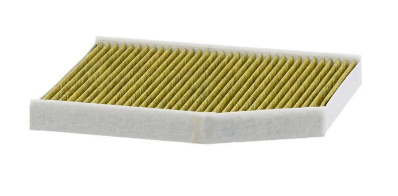 Filtru, aer habitaclu MANN-FILTER FreciousPlus FP 29 007