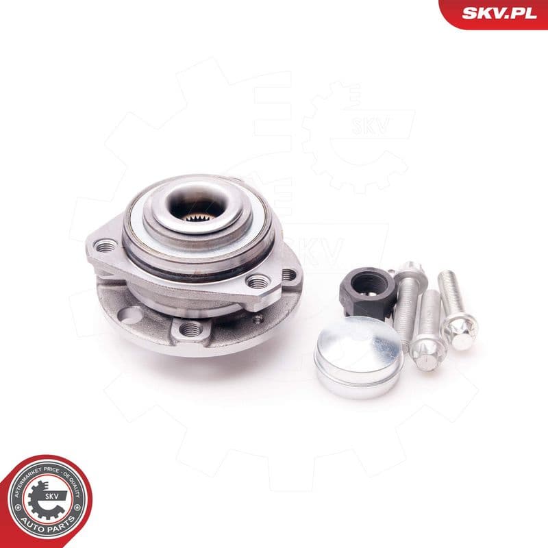 Set rulment roata ESEN SKV 29SKV027