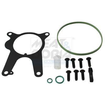 Set reparatie, pompa vacuum (Siste frana) MEAT & DORIA 91249