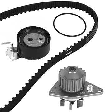 Set pompa apa + curea dintata METELLI 30-0837-2
