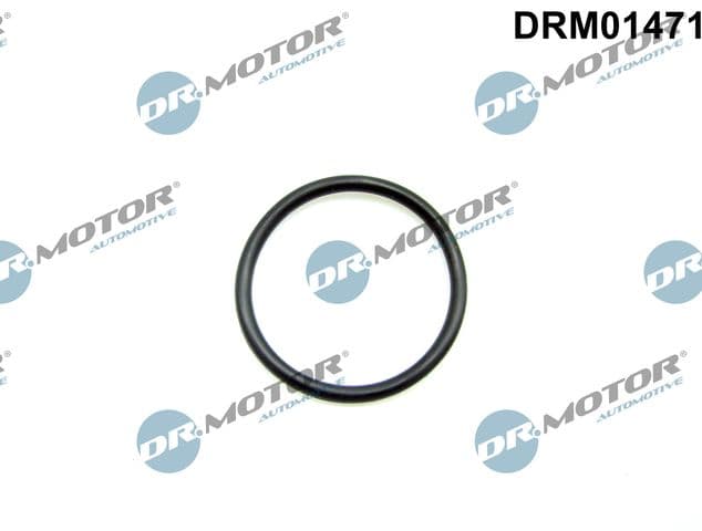 Garnitura, conducta supapa-AGR Dr.Motor Automotive DRM01471