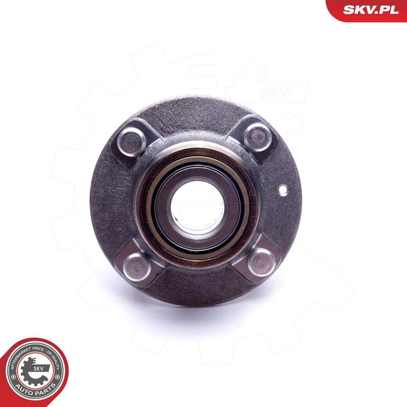 Set rulment roata ESEN SKV 29SKV479